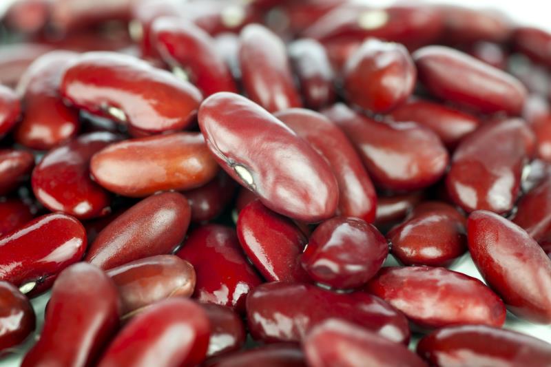 Hati-hati bila Mengonsumsi 5 Jenis Makanan Ini Saat Mentah