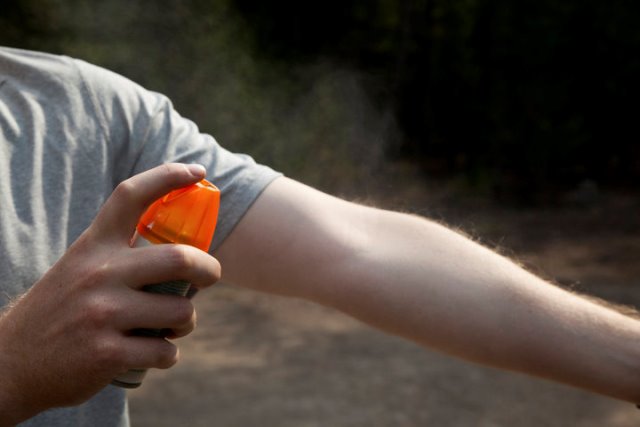 Apakah Semprotan Serangga Aman bagi Kesehatan?