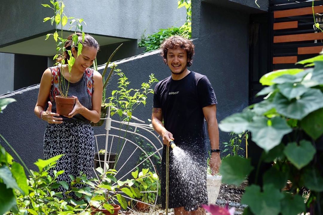 10 Artis Indonesia yang Hobi Berkebun
