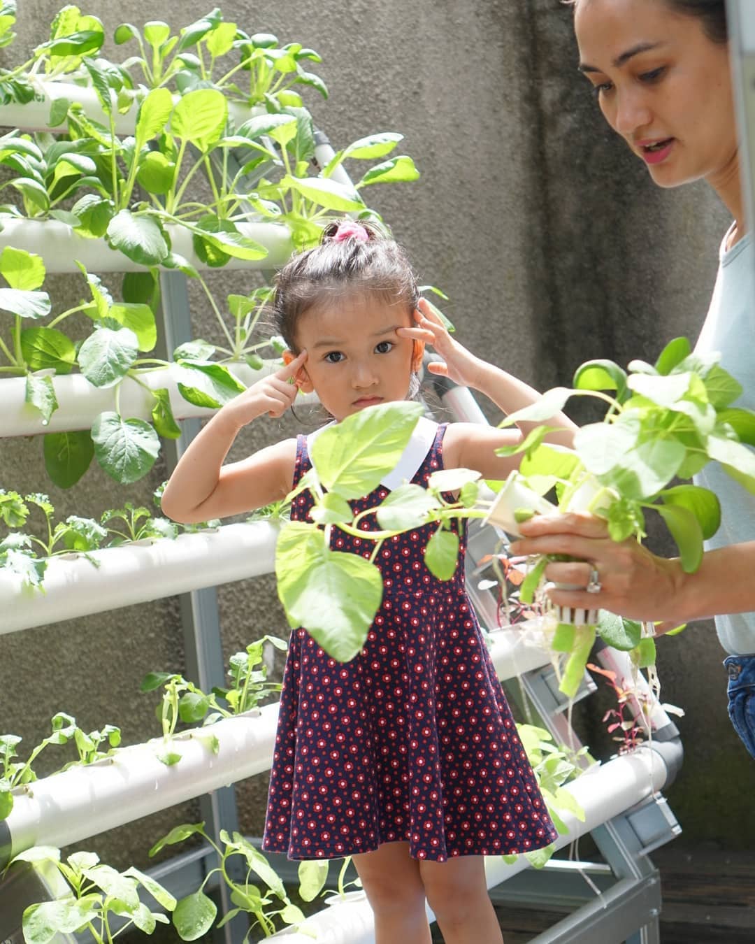 10 Artis Indonesia yang Hobi Berkebun