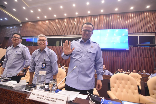 Jalan Tengah Polemik Lobster Ala Menteri Edhy