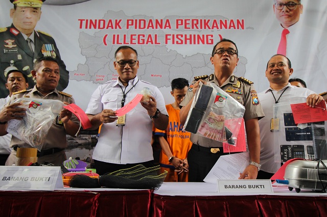 Jalan Tengah Polemik Lobster Ala Menteri Edhy
