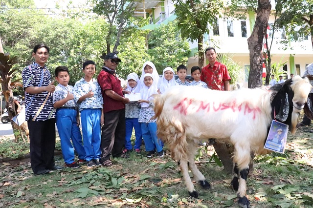 Pentingnya Ijab Kabul Pembelian Hewan Kurban