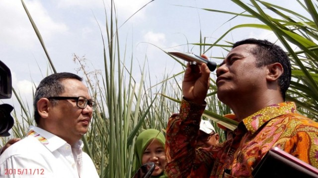 Menteri Amran, Kotak Tisu, dan Pahitnya Cinta