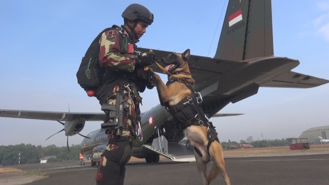 Kopassus Terjun Bebas Membawa Satwa Pecahkan Rekor MURI