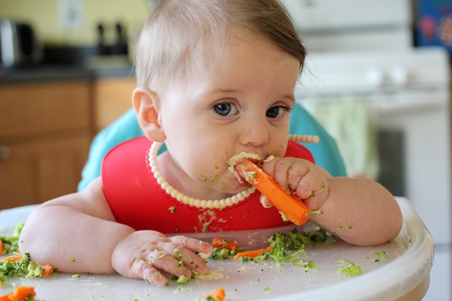 Tips Sukses Menerapkan <i>Baby</i> <i>Led</i> <i>Weaning</i>