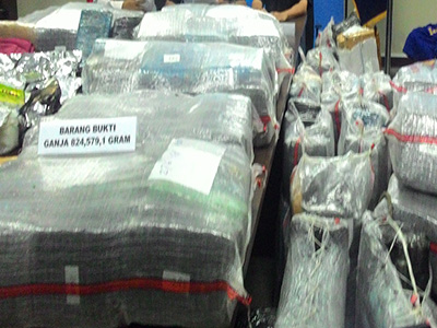 BNN Gagalkan Penyelundupan 824 Kg Ganja ke Jakarta