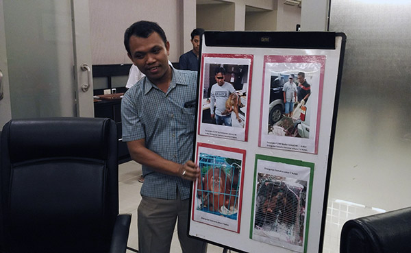 Polisi Bekuk Dua Pelaku Perdagangan Orang Utan
