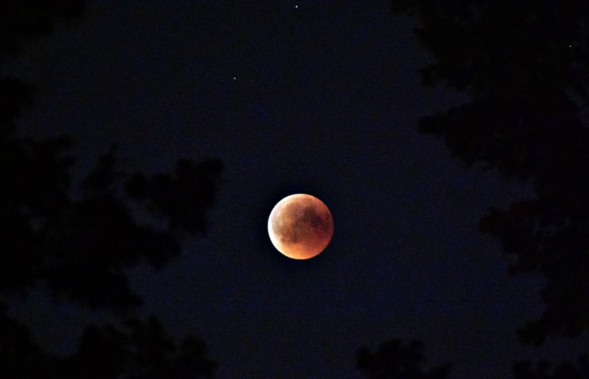 Blood Moon