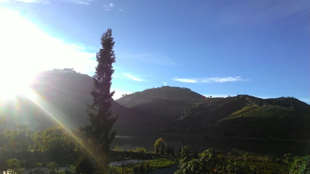 Mengintip Eloknya Fajar Menyingsing dari Balik Bukit Sikunir