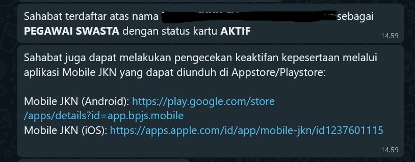 Cara cek status BPJS Kesehatan Chika