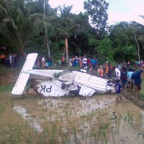 Kronologi Pesawat Capung Mendarat Darurat di Sawah