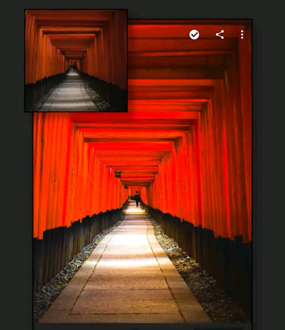 Contoh fitur Adobe Lightroom. Playstore Adobe Lightroom.jpeg