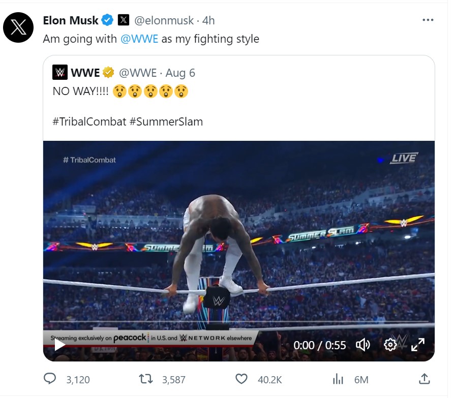 Tarung Lawan Mark Zuckerberg, Elon Musk Pakai Gaya Bertarung WWE