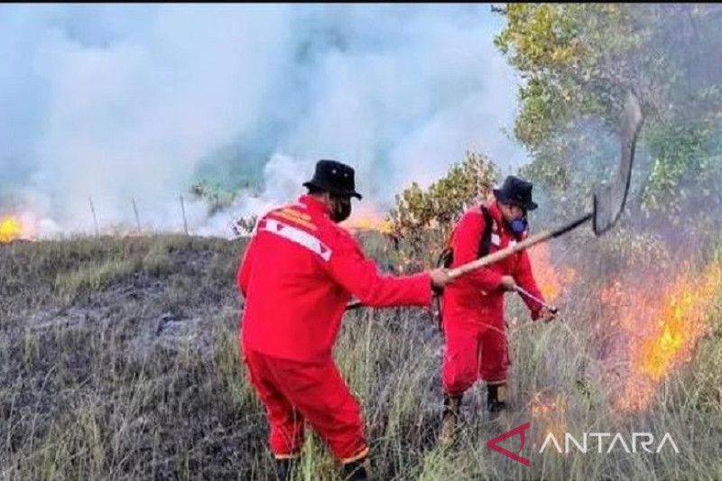 Warga Bangka Barat Diajak Aktif Cegah Karhutla