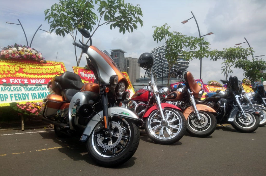 Bisnis Moge di Indonesia Baik-Baik Saja