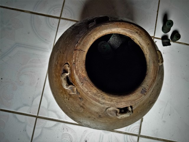Melihat Koleksi Rumah Fosil Banjarejo