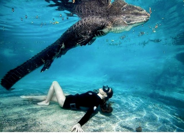 Tur 'Gila' dengan Aligator