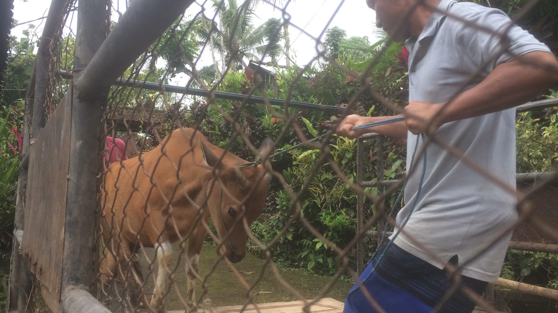 Warga Dilarang Melintasi Zona Merah Gunung Agung