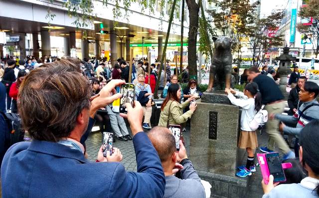 Penyebrangan Jalan Ini Destinasi Wisata lho