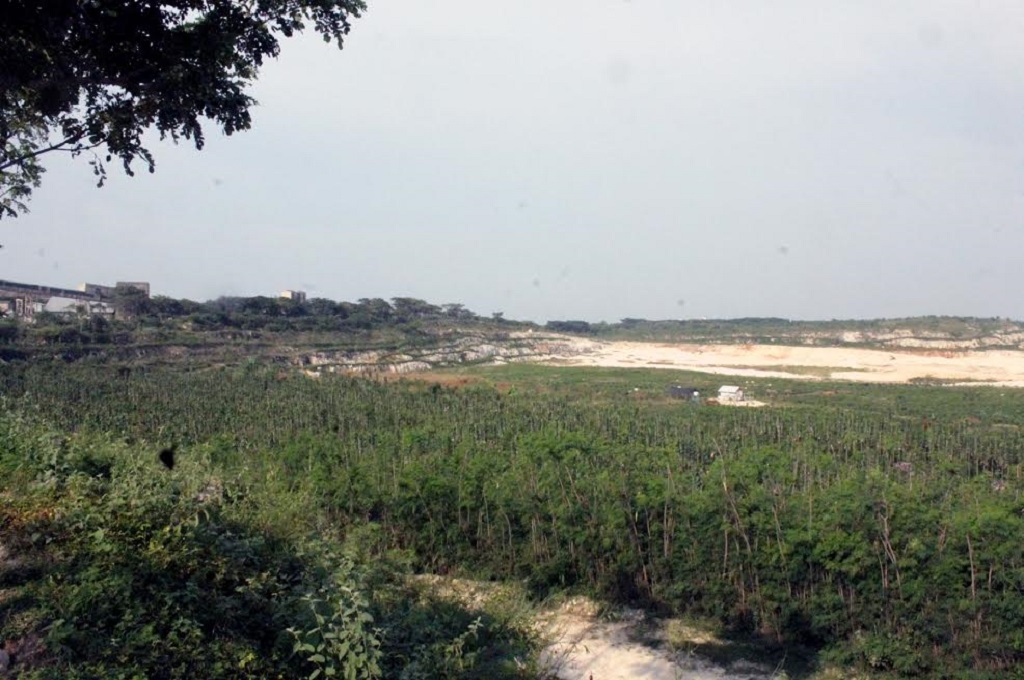 Tambang Kapur Disulap Jadi Hutan Hijau nan Sejuk
