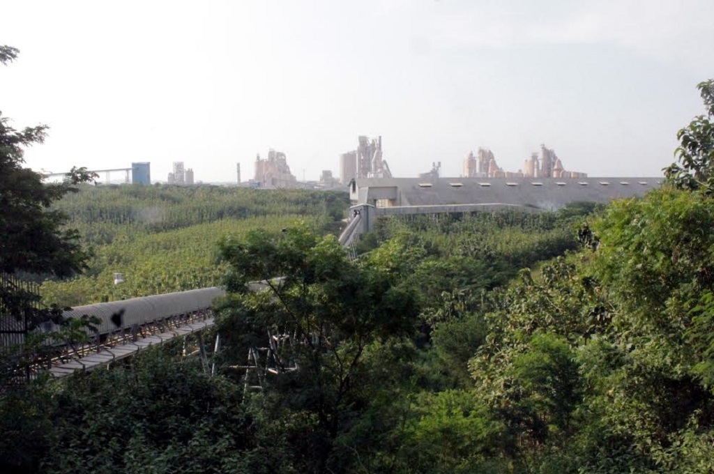 Tambang Kapur Disulap Jadi Hutan Hijau nan Sejuk