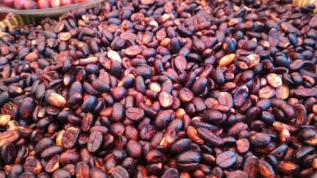 Kopi Merapi Rambah Pasar Eropa