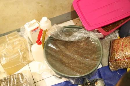 Indekos di Kota Bandung Jadi Pabrik Tembakau Gorila