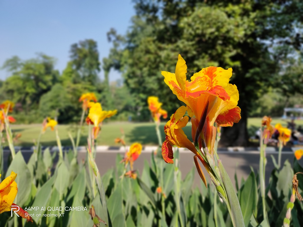 Review realme XT, Quad Camera 64MP Expert Paling Anyar