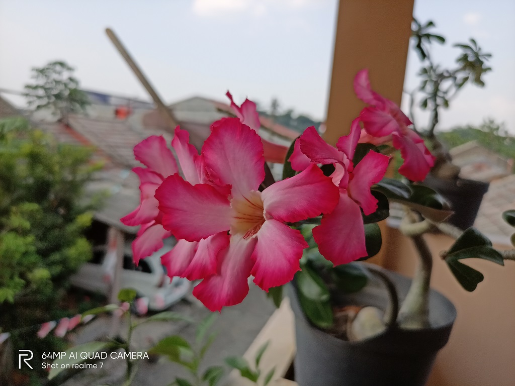Review realme 7, Paket Gaming Lengkap NFC
