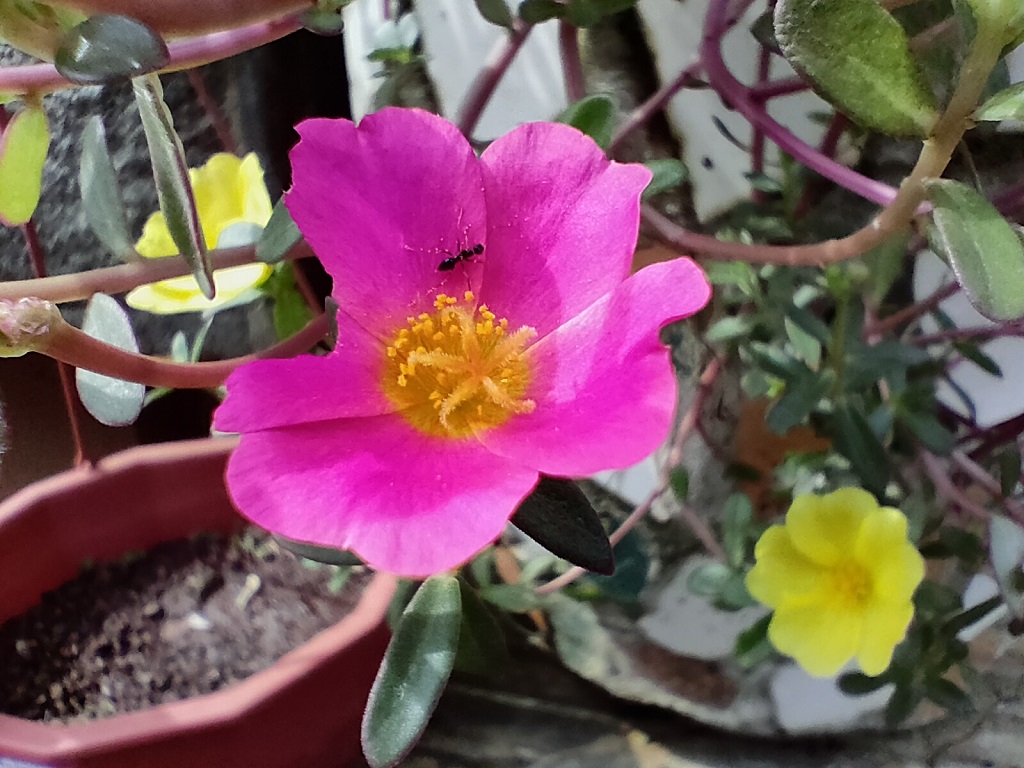 Review realme GT Master Edition, Tampilan dan Spesifikasinya Mantap