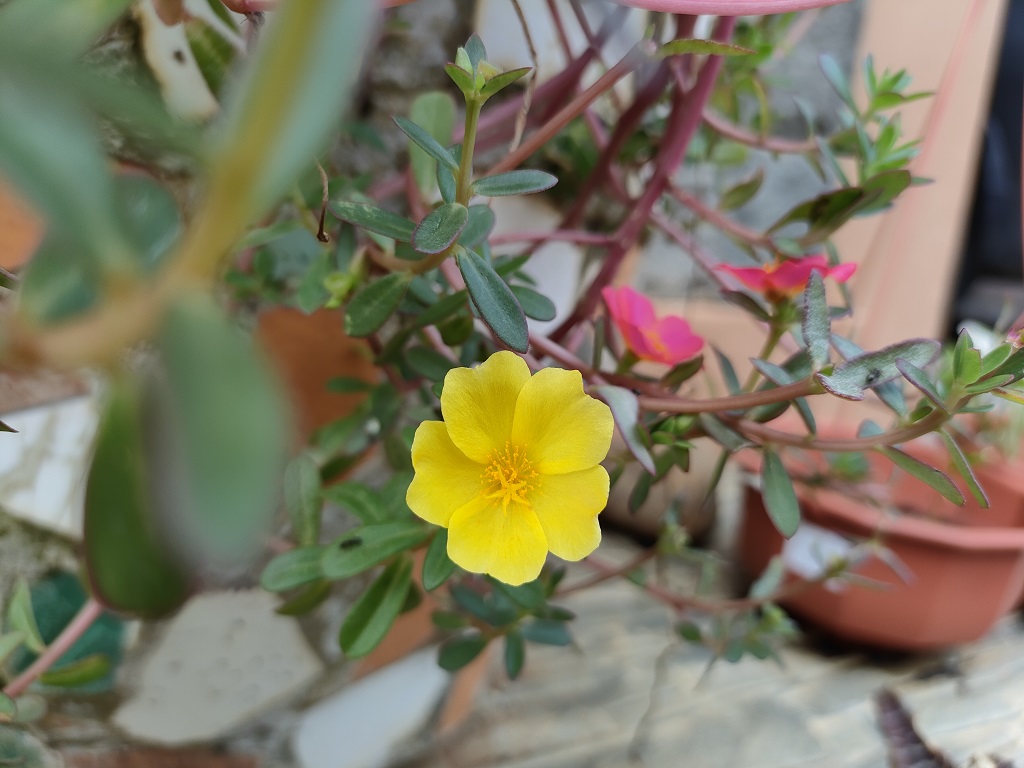 Review realme GT Master Edition, Tampilan dan Spesifikasinya Mantap