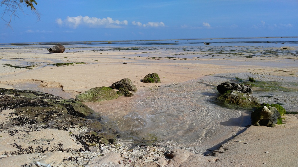 Exotism of Cemara Beach and Molii Sahatu Spring in Wakatobi