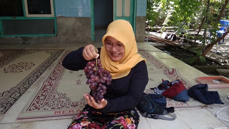 Kisah Rio, Pembudi Daya Anggur dari Ukraina di Bantul