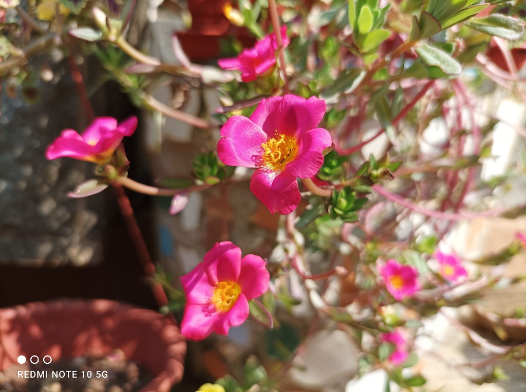 Review Redmi Note 10 5G, Smartphone 5G Murah Kuat Buat Gaming