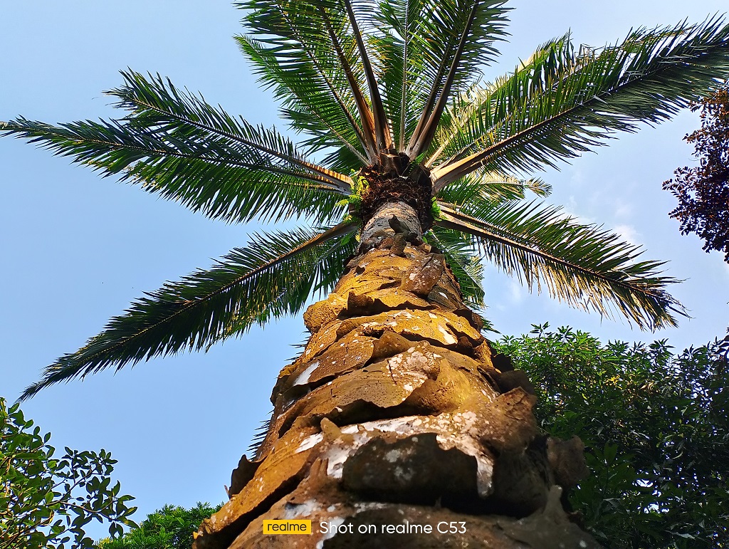 Review realme C53 NFC, Fiturnya Komplit Gak Cocok di Entry-Level