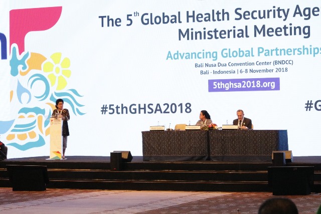 Kerja Sama Indonesia dalam GHSA Hadapi Penyakit Global