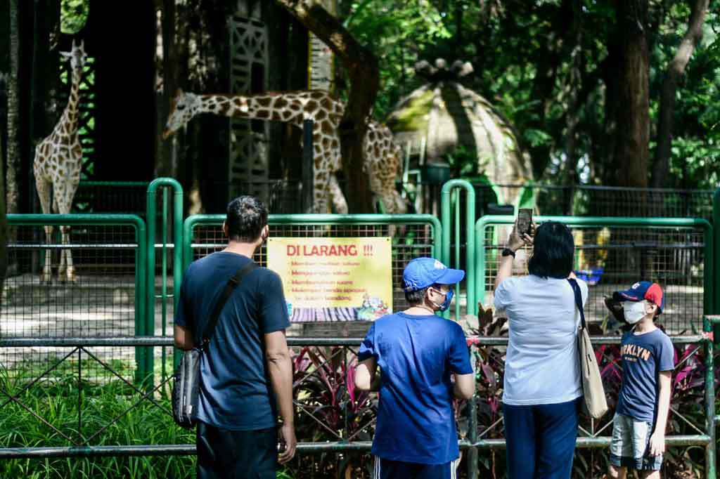 Ilustrasi tempat wisata Taman Margasatwa Ragunan. MI Andri Widiyanto