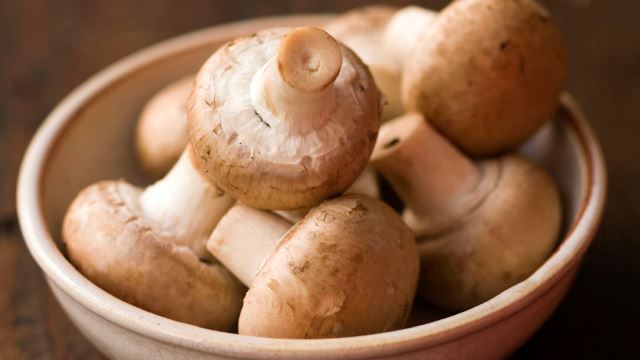 Mengenal 3 Jamur Berbentuk Bulat