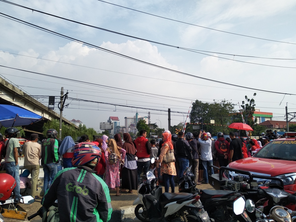 Buaya Kali Grogol Masih Bebas Berkeliaran