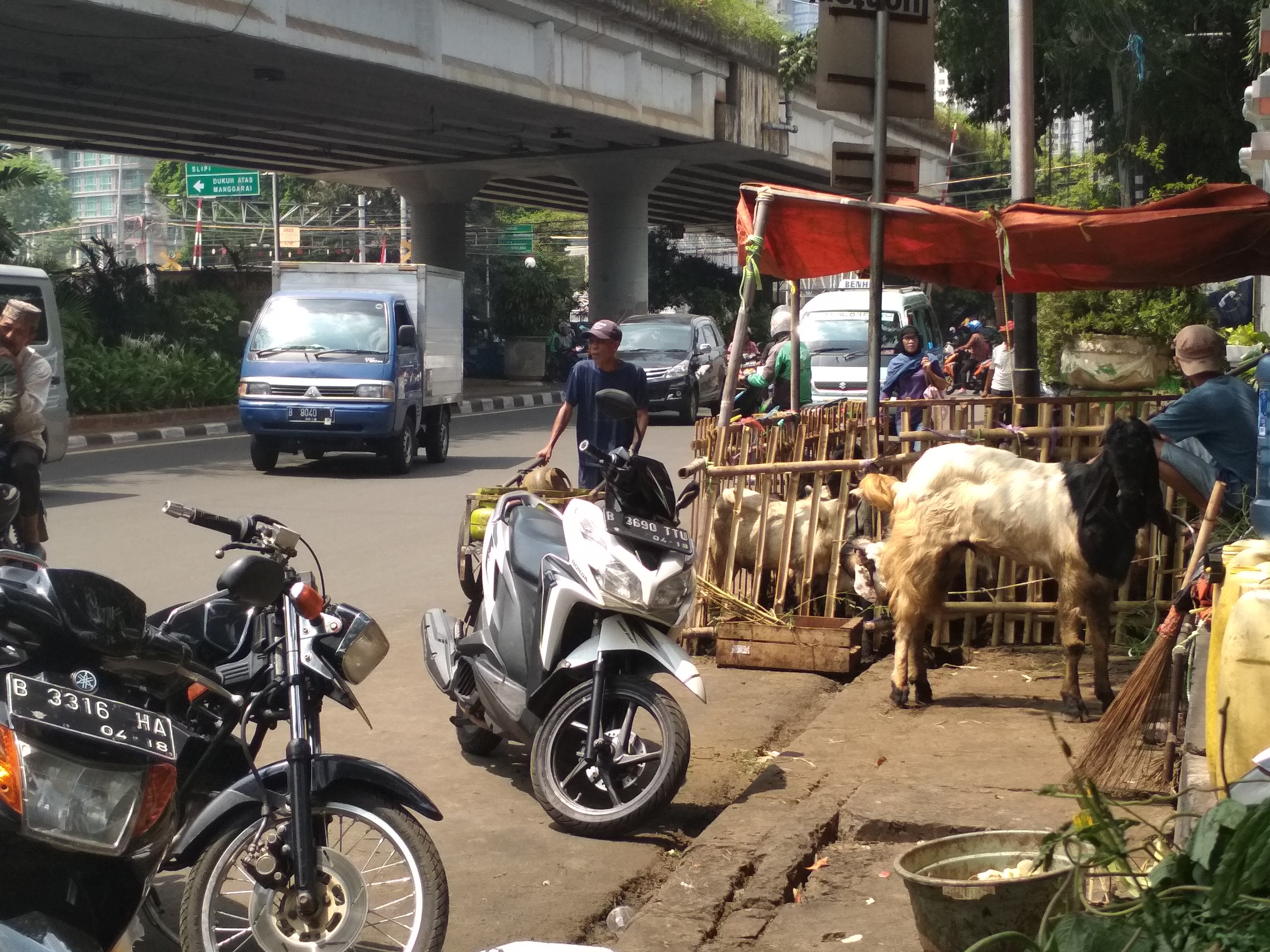 Trotoar Disulap jadi Kandang Kambing