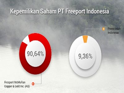 Pansus Freeport Ditujukan untuk Mengungkap Perpanjangan Kontrak Karya