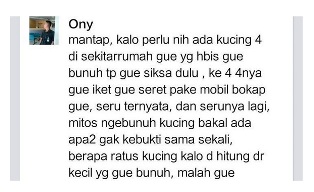 Pria Ini Dikecam karena Mengaku Membunuh Ratusan Kucing