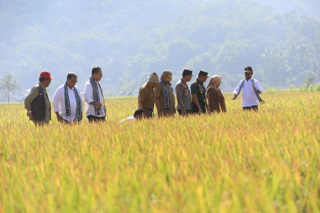 Kunker ke Lombok Barat, Mentan Juga Beri Bantuan JUT Petani