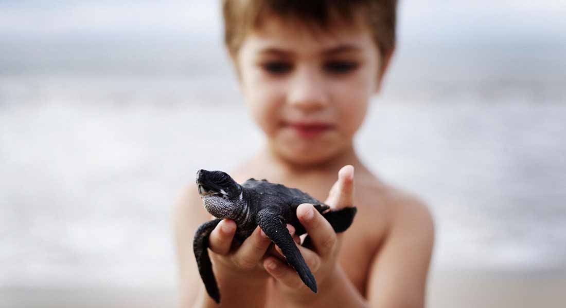 Memilih Hewan Peliharaan Sesuai Perkembangan Si Kecil