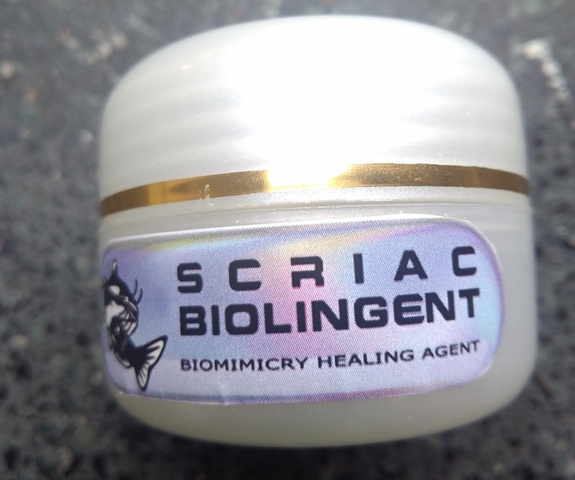 Luka Penderita Diabetes Bisa Diobati dengan Lendir Lele