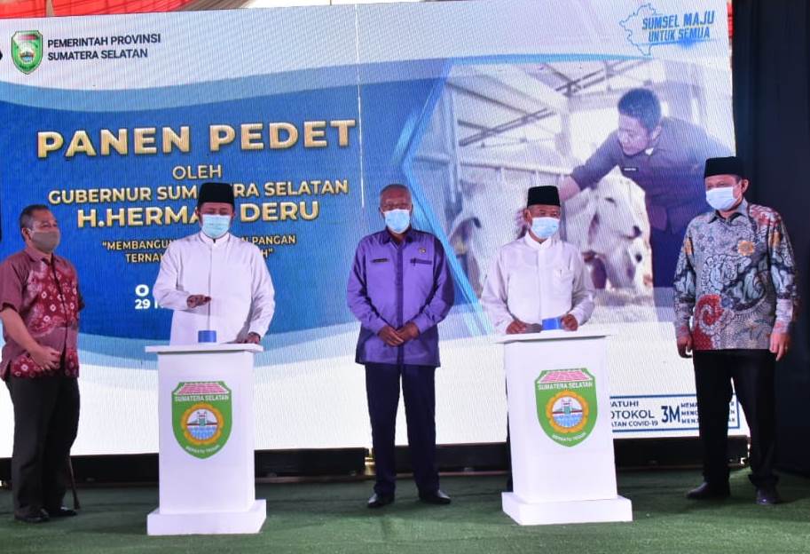 Inseminasi Buatan Dinilai Efektif Dongkrak Populasi Ternak Sapi dan Kerbau di Sumsel
