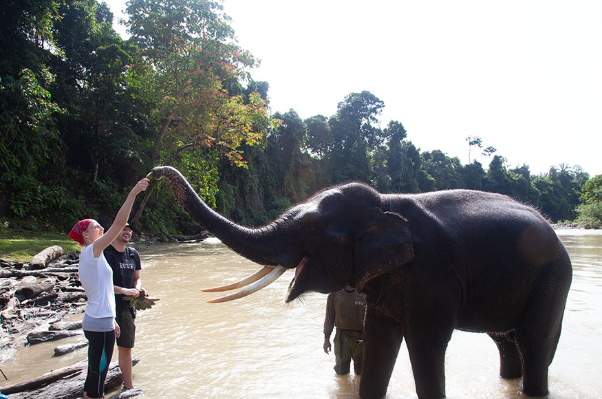 3 Wisata Konservasi Alam yang Wajib Dikunjungi Usai Pandemi