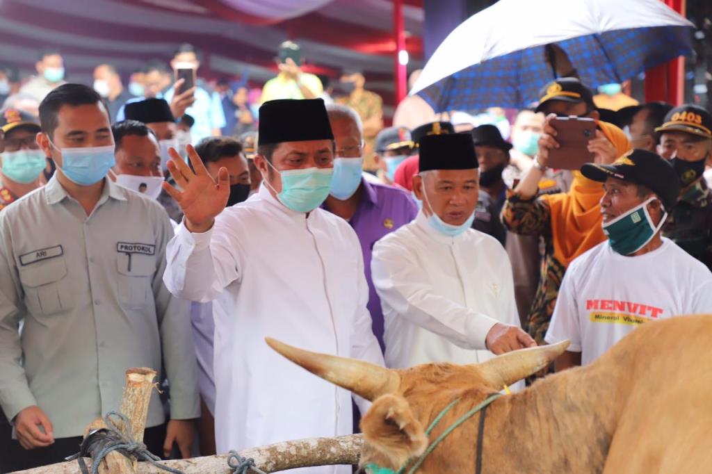 Inseminasi Buatan Dinilai Efektif Dongkrak Populasi Ternak Sapi dan Kerbau di Sumsel