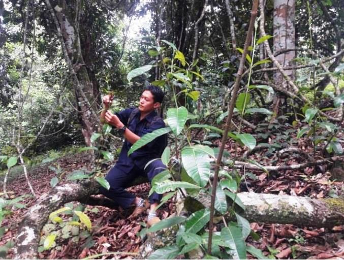 Grup Astra Bina Ratusan Kampung Edukasi Masyarakat Kelola Sampah